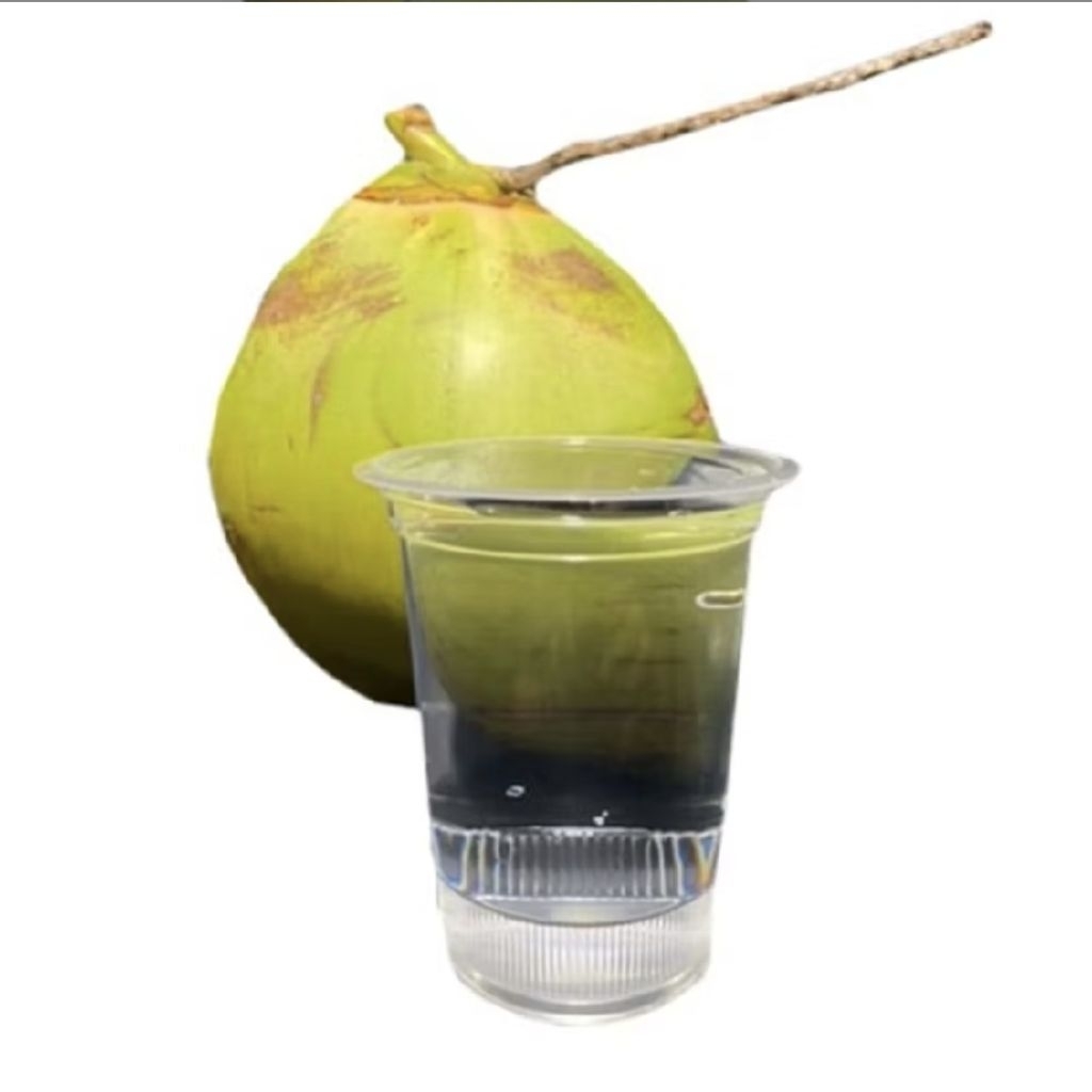 Air Kelapa Muda Murni Kemasan Cup