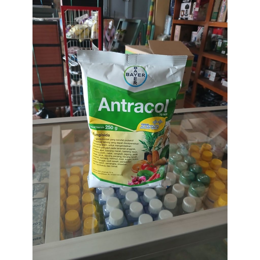 ANTRACOL 70WP 250Gram