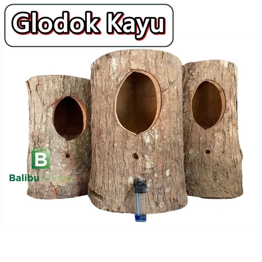 Glodok Bambu Gantung Untuk Sarang Lovebird Dan Parkit Rumah Bambu Burung Murai, Kacer, Wambi dll