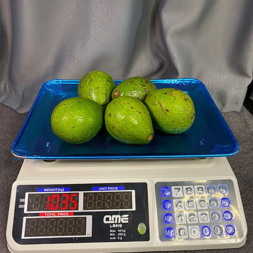 Alpukat Mentega 1kg 4-5 Buah Lembut Creamy Asli Boyolali Garansi Pengiriman JAWA-BALI