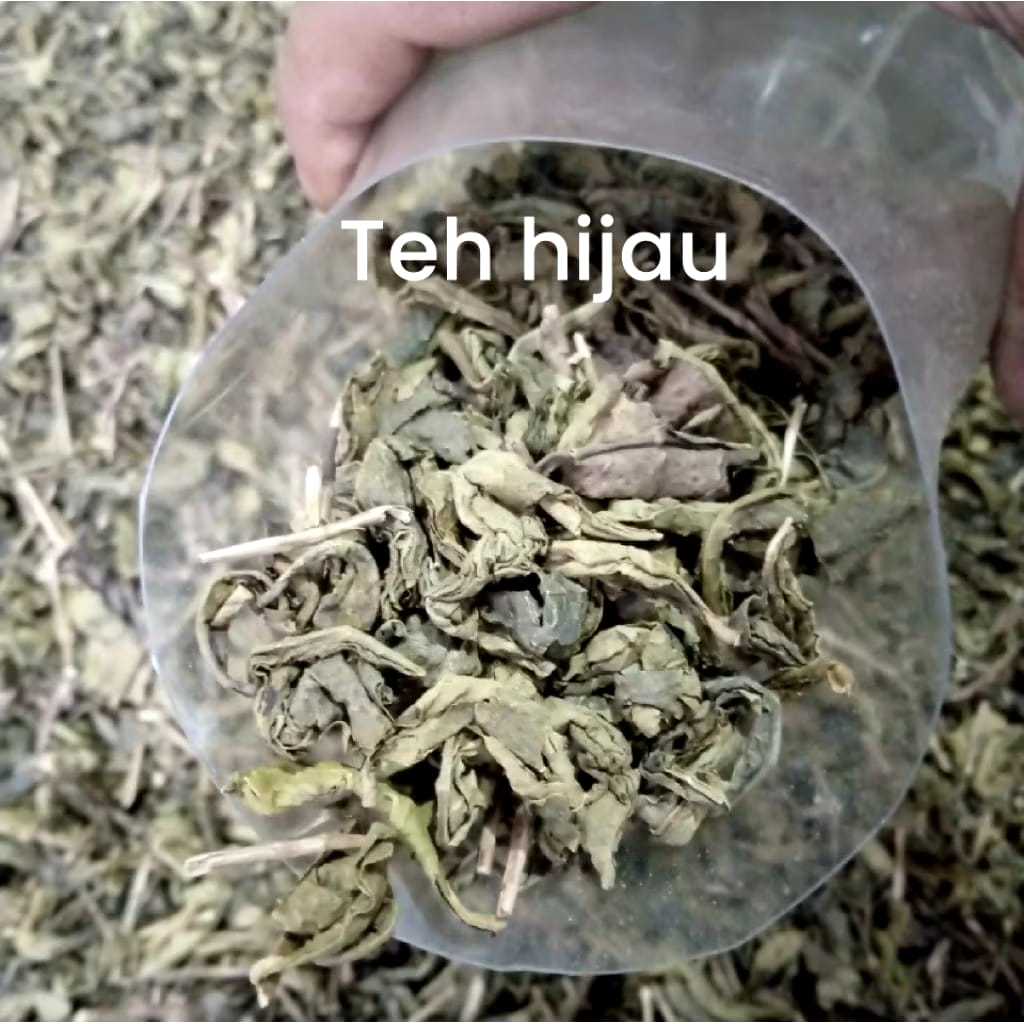 Teh Hijau Asli | Teh Hijau murni 100% | Teh Hijau Tradisional Tasikmalaya