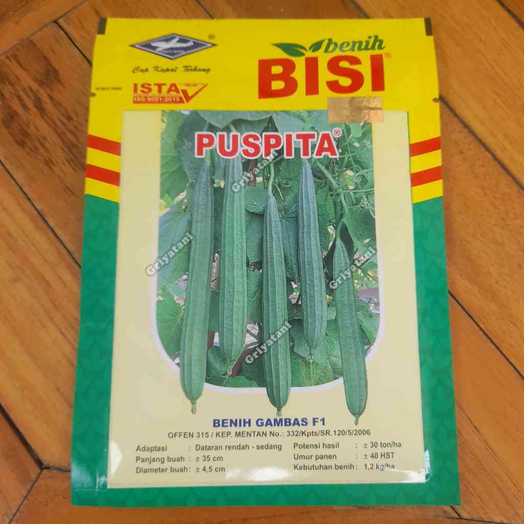 Benih Gambas Oyong Puspita F1 10gr Hijau panjang