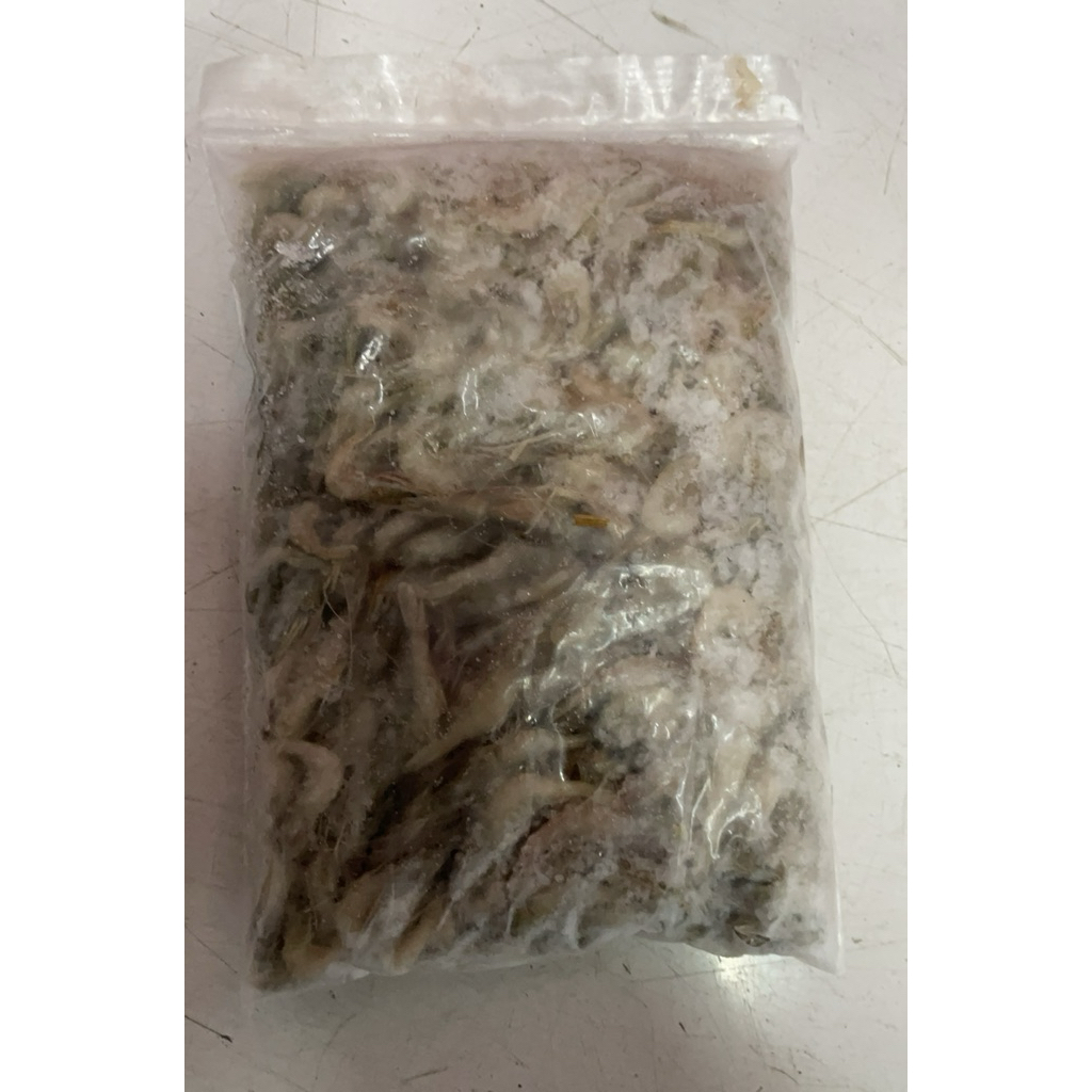 udang beku