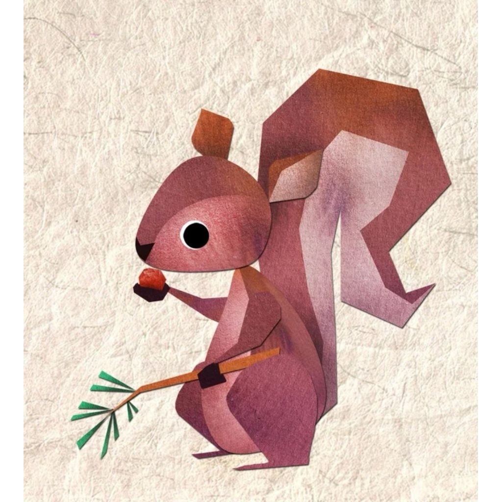 Dormice African pigmy dormice white tail