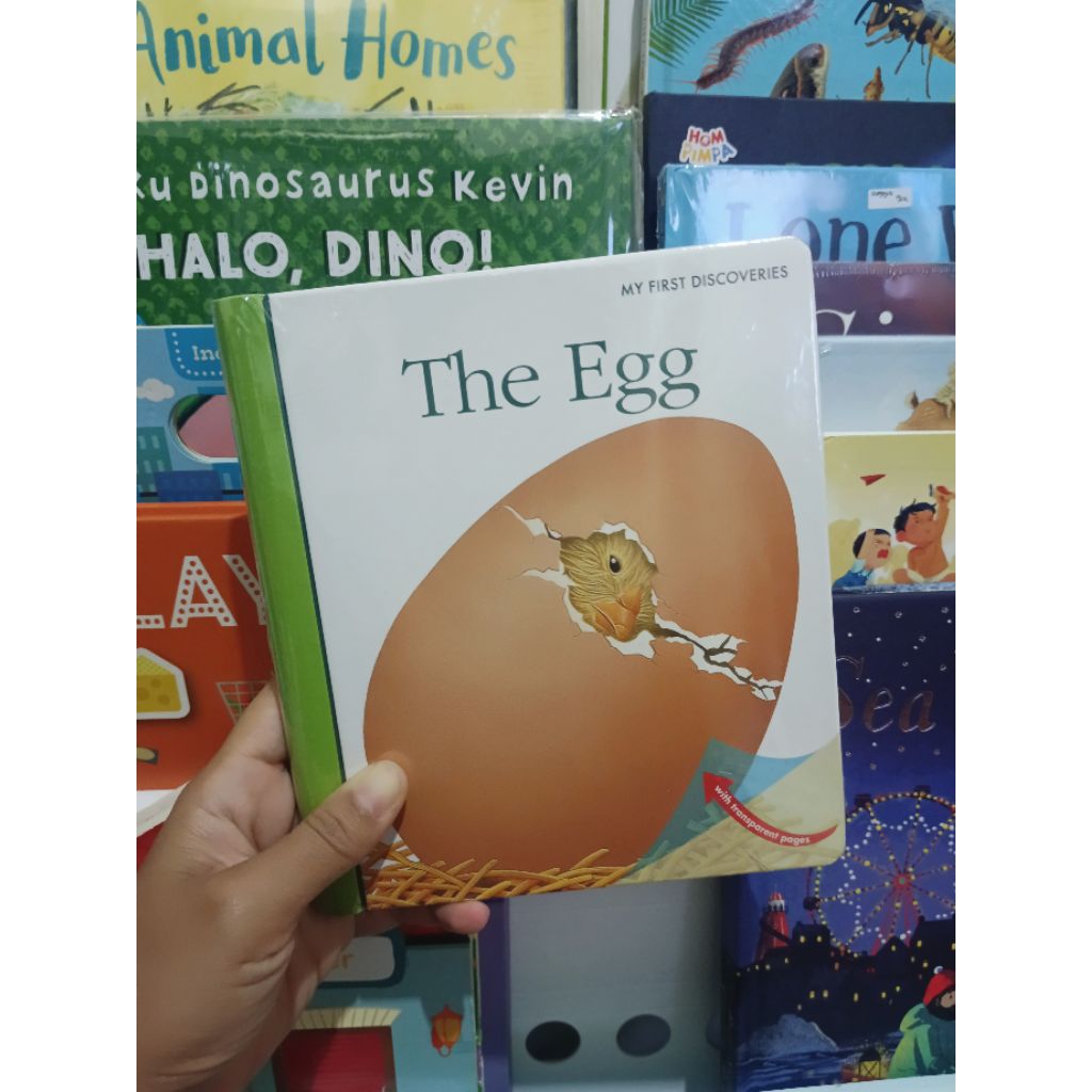 MFD The Egg HC Preloved like new