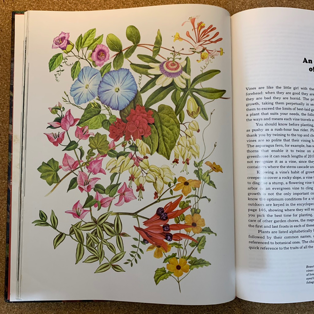 The time life encyclopedia of gardening | Vines