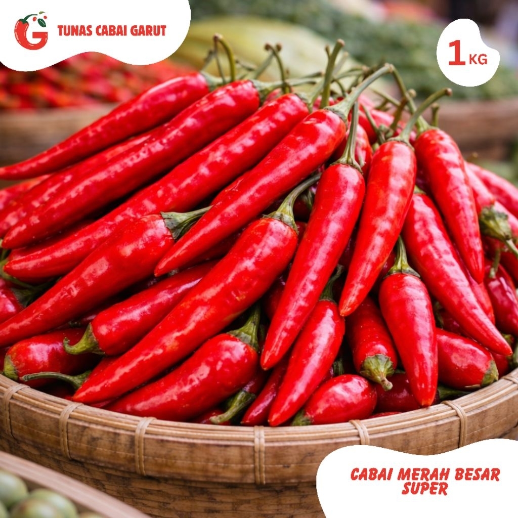 CABAI MERAH BESAR SUPER 500 GR