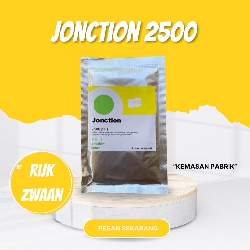 Benih selada batavia RZ jonction benih selada batavia kemasan 2.500 pils