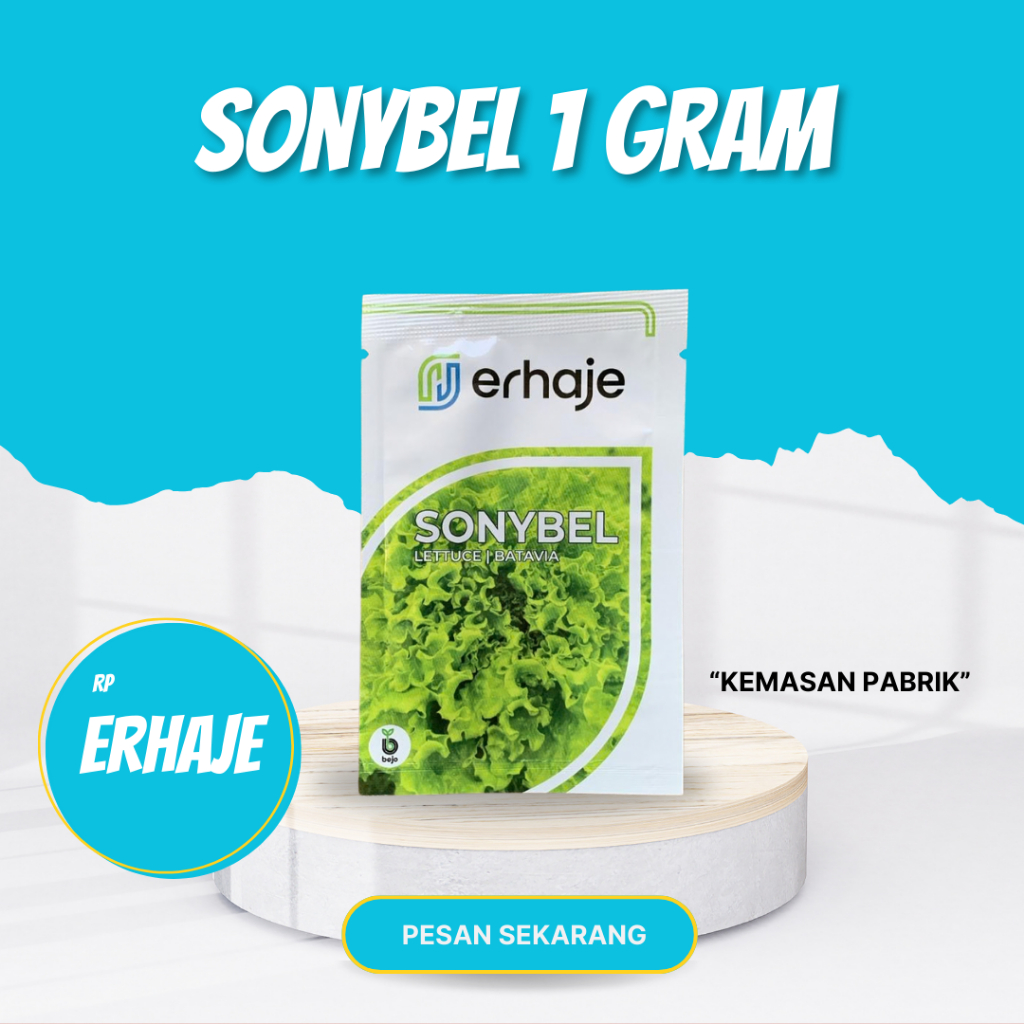 Benih selada batavia Sonybel bejo seed
