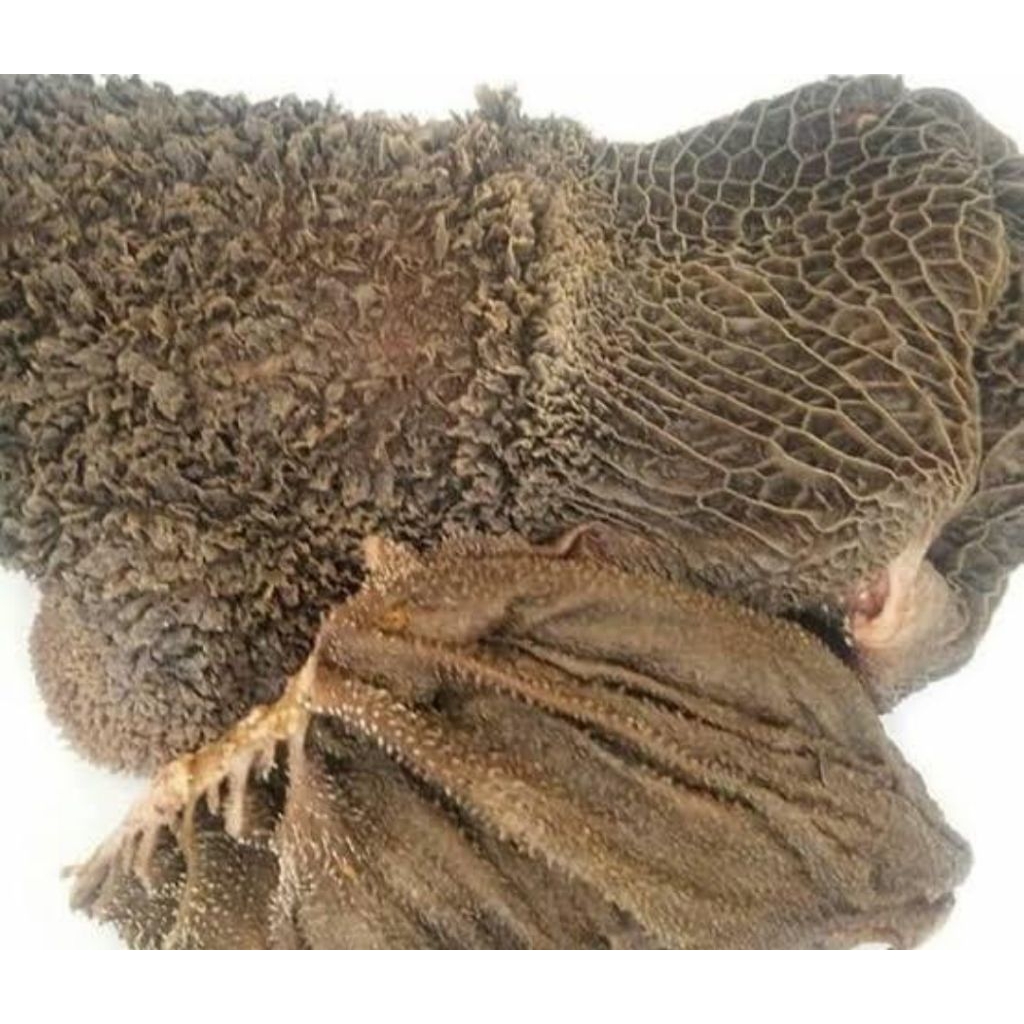 Babat Sapi Fresh 1kg