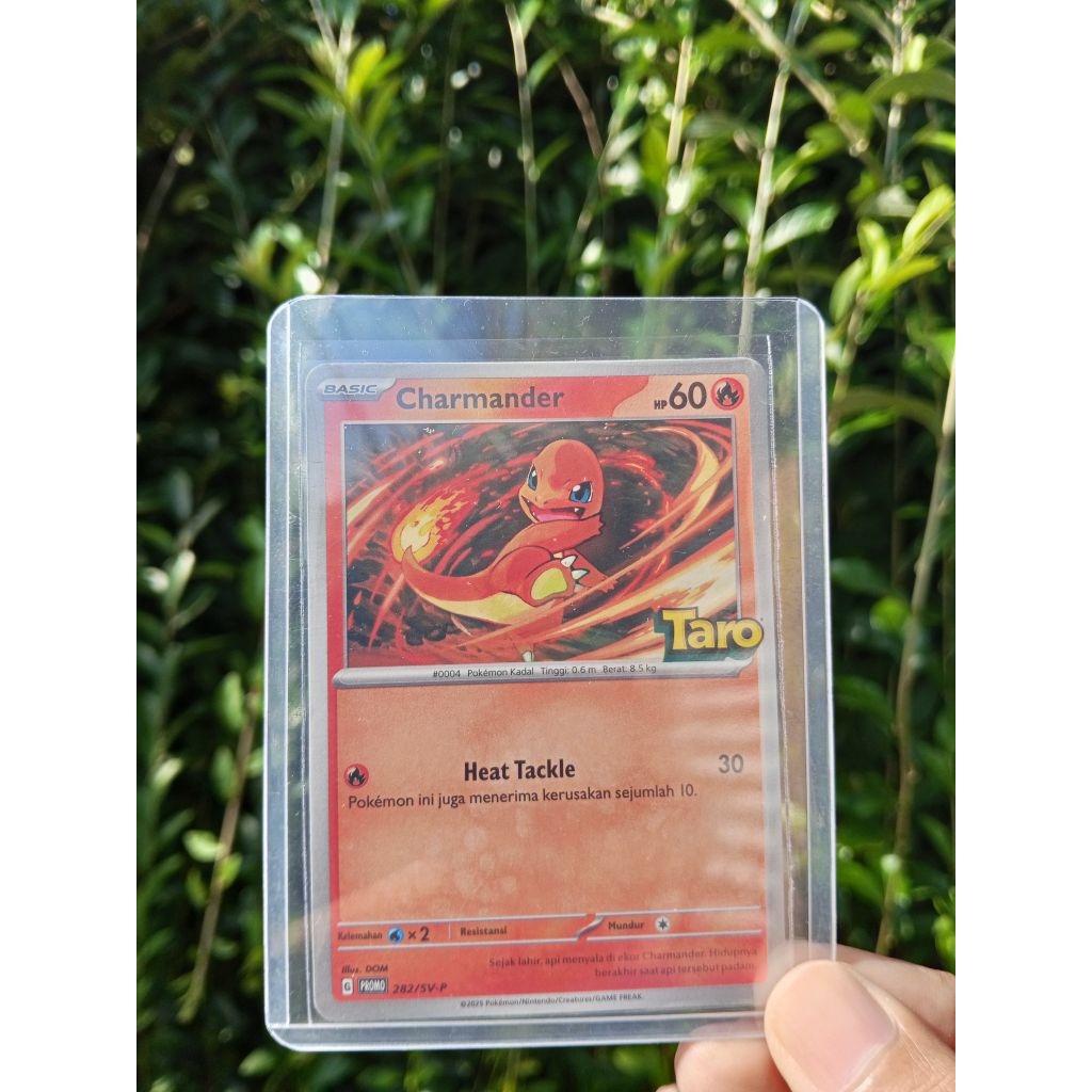 kartu pokemon charmander promo taro