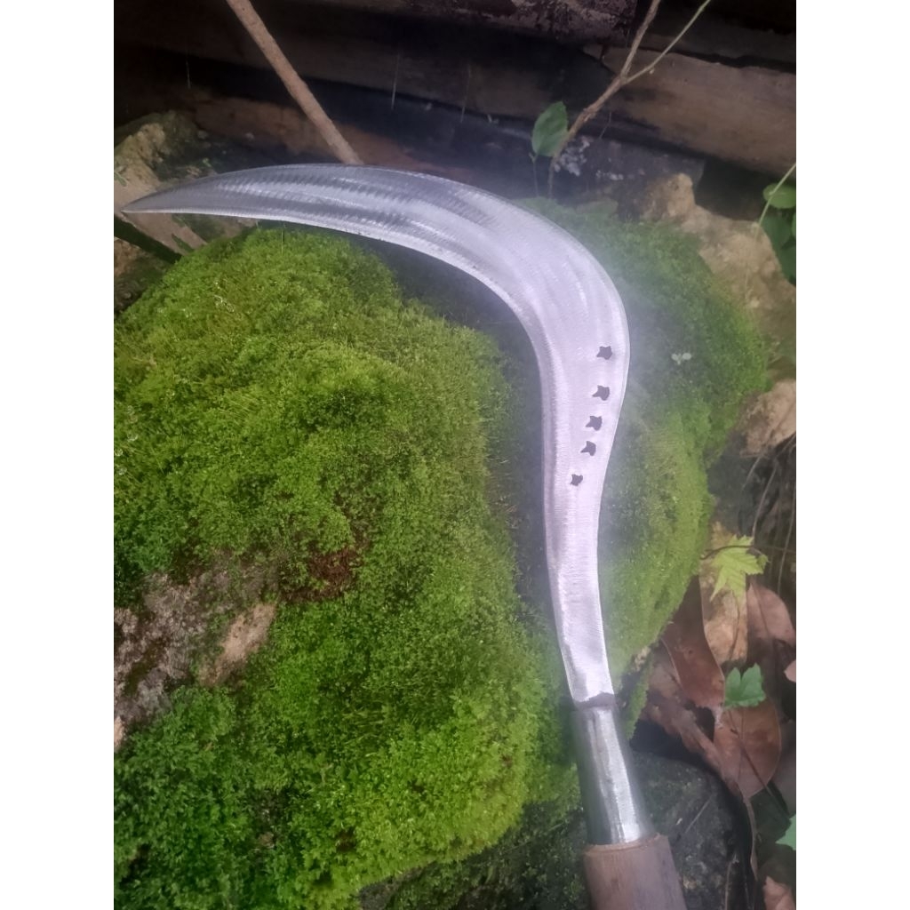 pemotong rumput bintang lima,sabit baja putih