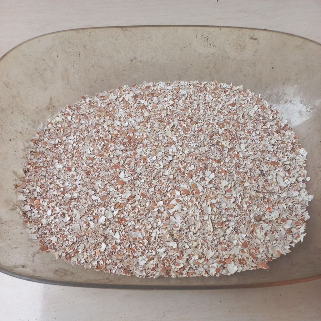 Grit Cangkang Telur ayam 1 kg