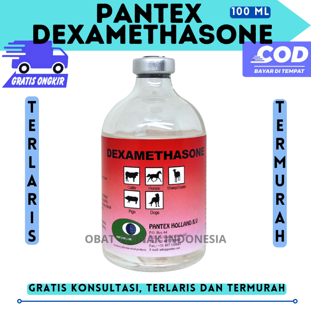 PANTEX DEXAMETHASONE 100ML - Obat Anti Inflamasi Hewan Sapi Kambing - Pantex Holland