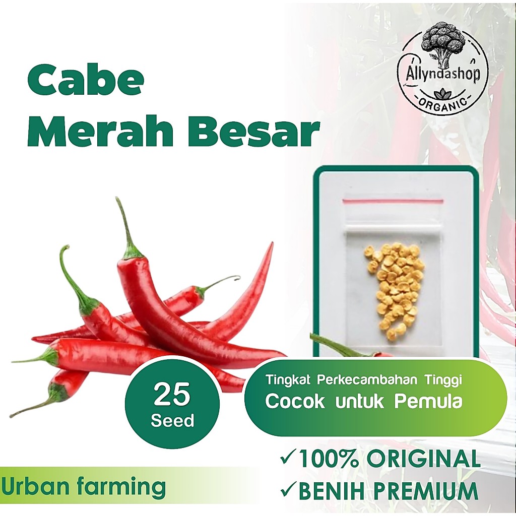 Bibit Cabe Merah Besar Sayuran Tahan Virus Benih Cabai Unggul