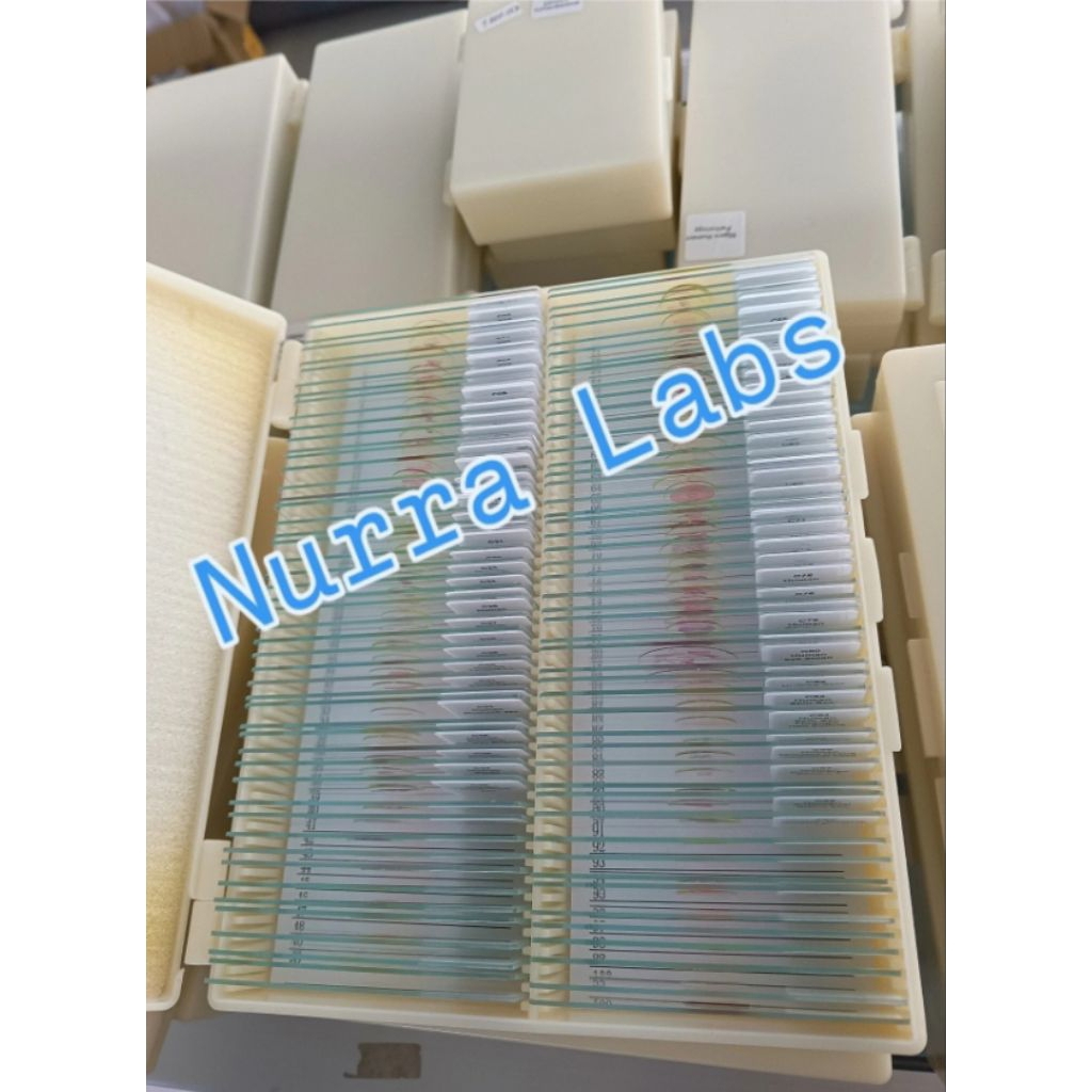 Preparat Histologi Human Kedokteran100 Slides/ Histology Human Kedokteran 100 Slids