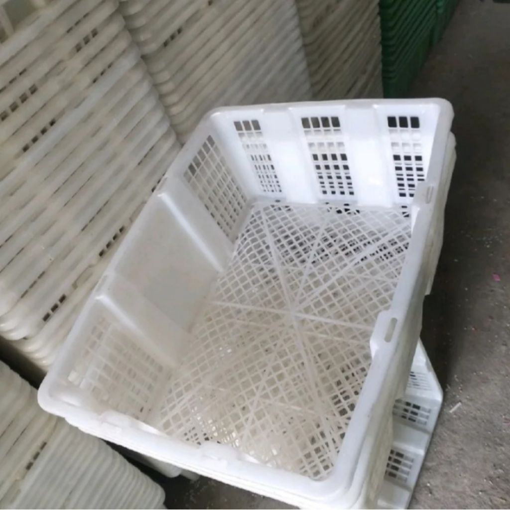 keranjang serbaguna keranjang buah keranjang lengkeng