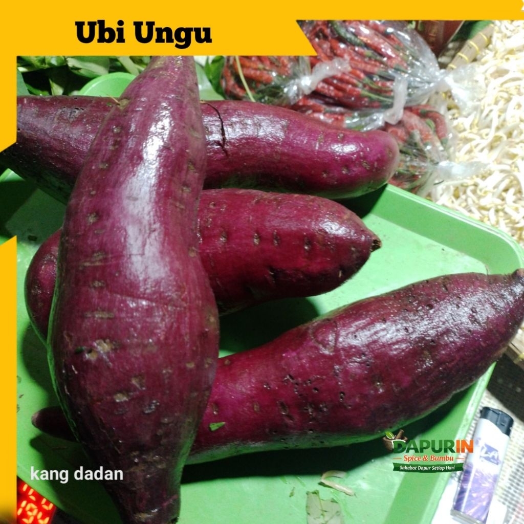 Ubi Ungu Segar Pilihan 1 kg – Ubi Ungu Manis Cocok untuk Rebus, Kukus & Olahan Kue