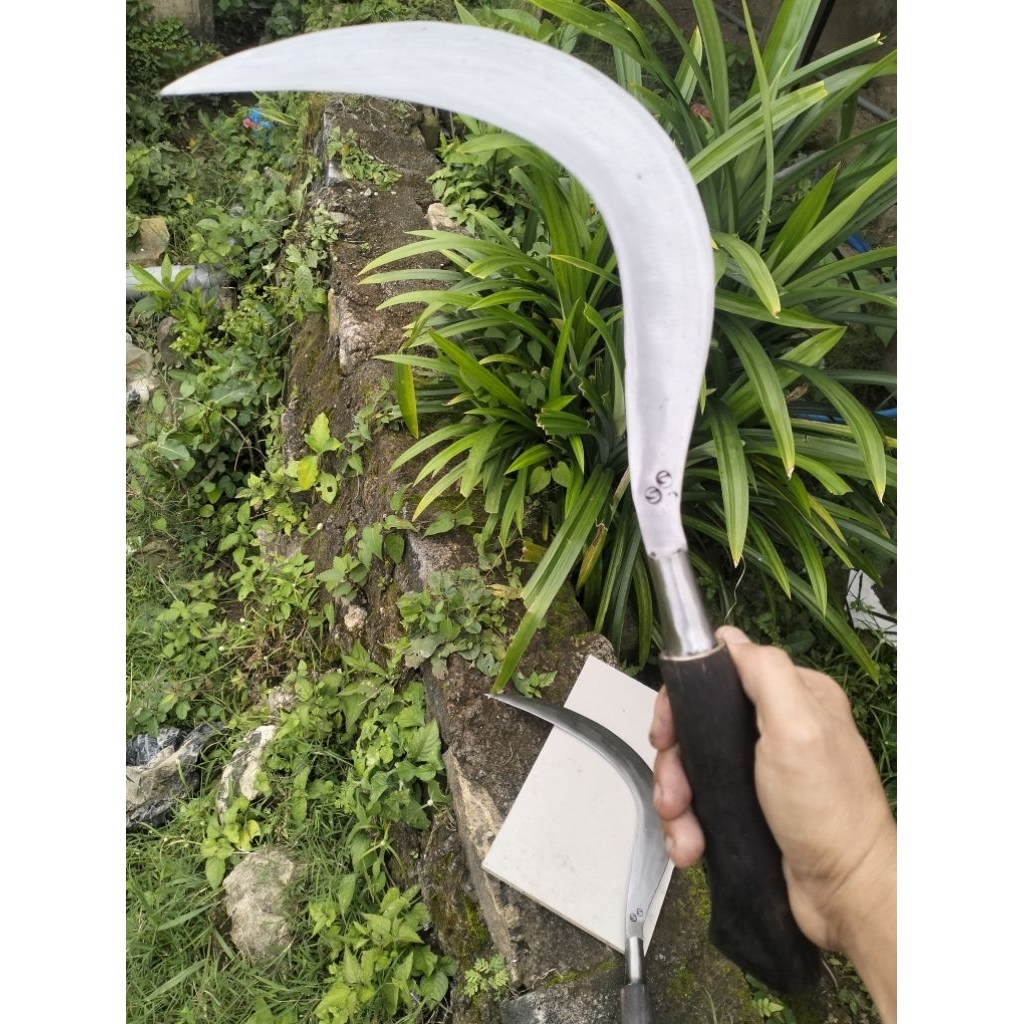 Sabit ranting pohon & rumput cap ss khas madura.