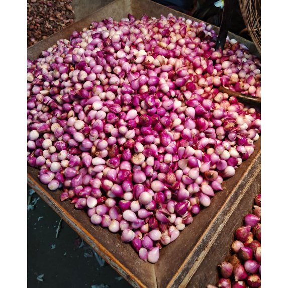 BAWANG MERAH KUPAS /BAWANG BREBES KUPAS SEGAR BARU DIKUPAS