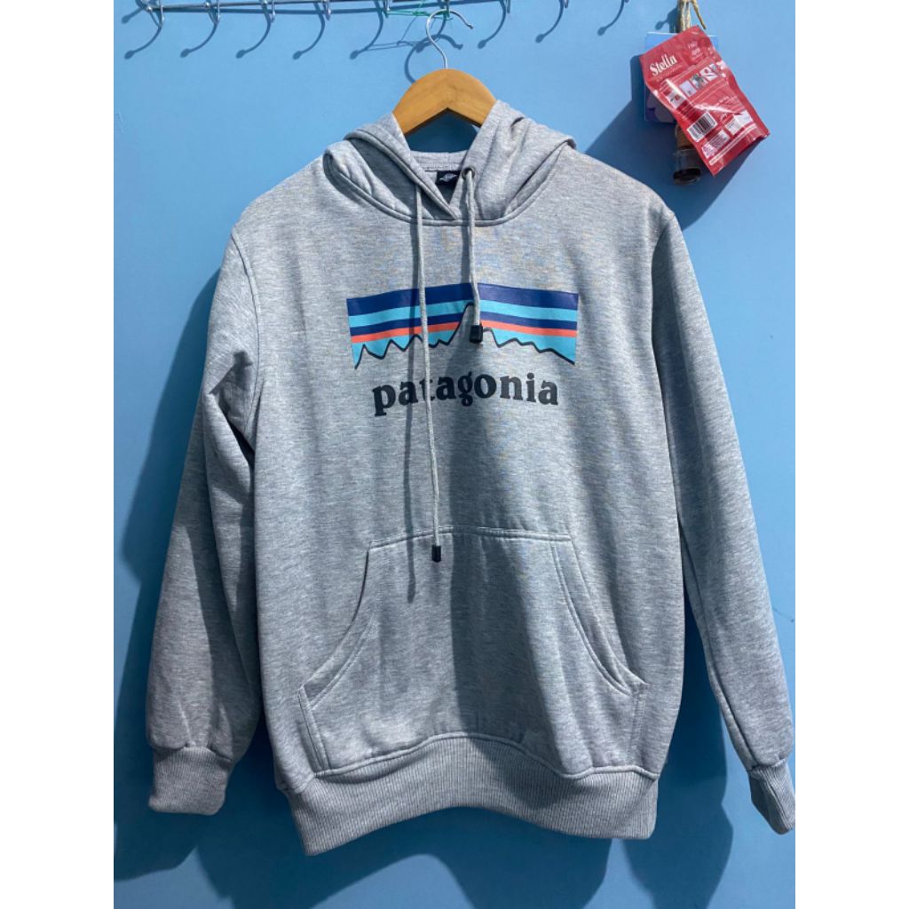 Hoodie Patagonia