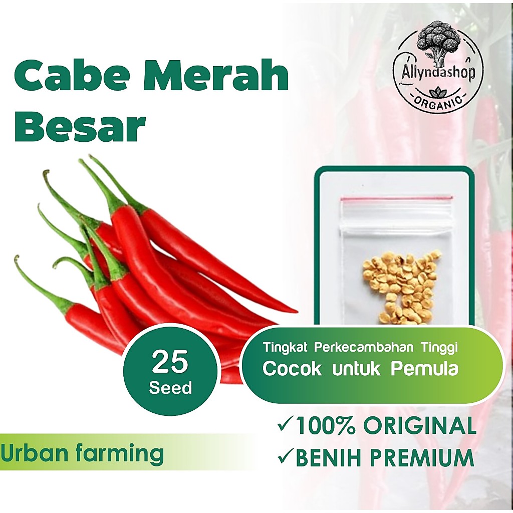 Cabe Merah Besar Sayuran Tahan Virus
