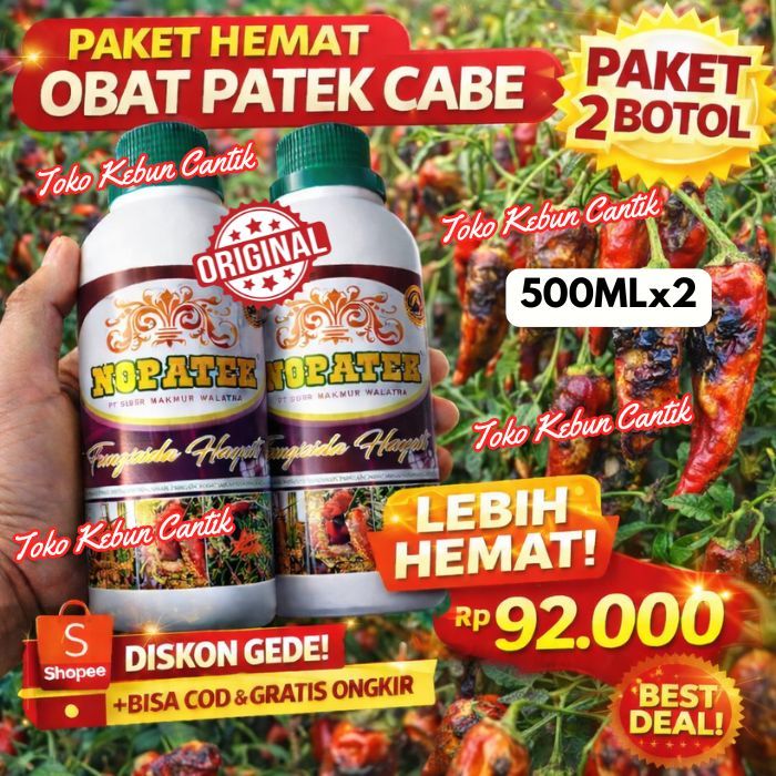 Obat Patek Cabe Keriting NOPATEK 500ml x2 – Fungisida Antraknosa Cabai