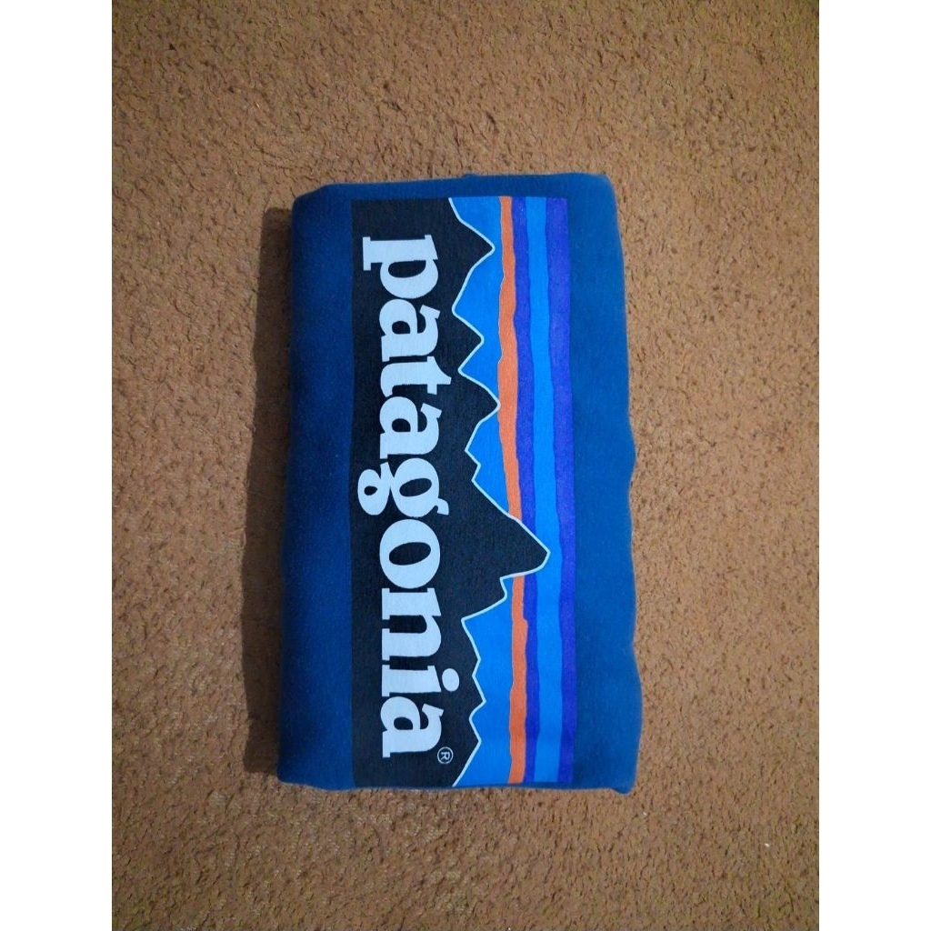 hoodie patagonia