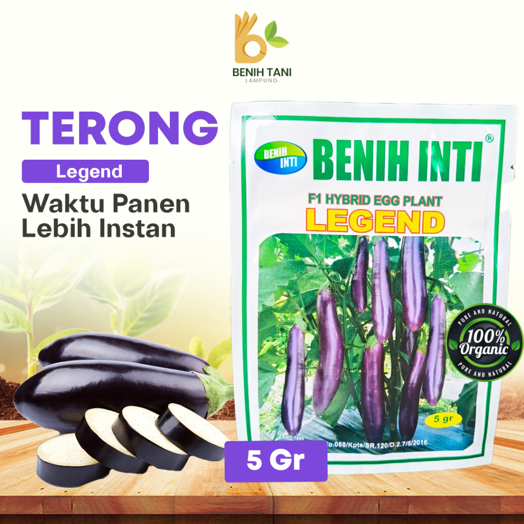 Terong Ungu Hibrida LEGEND F1 Benih Inti isi 5gr