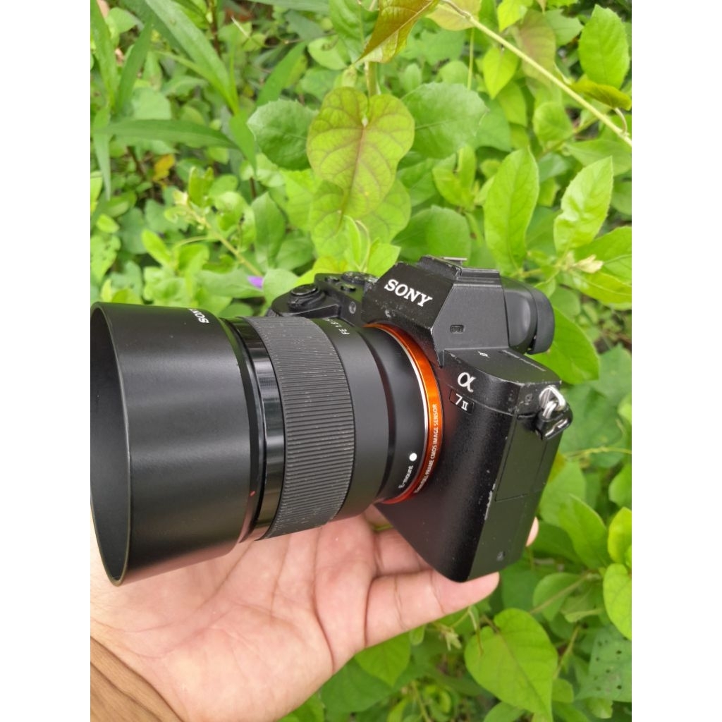 SONY A7 MARK II LENSA FIXS 50 MM FE F 1:8