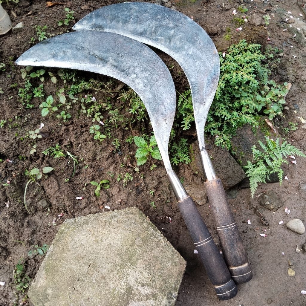 Pengaritan Sabit Rumput Ukuran Jumbo Baja Per