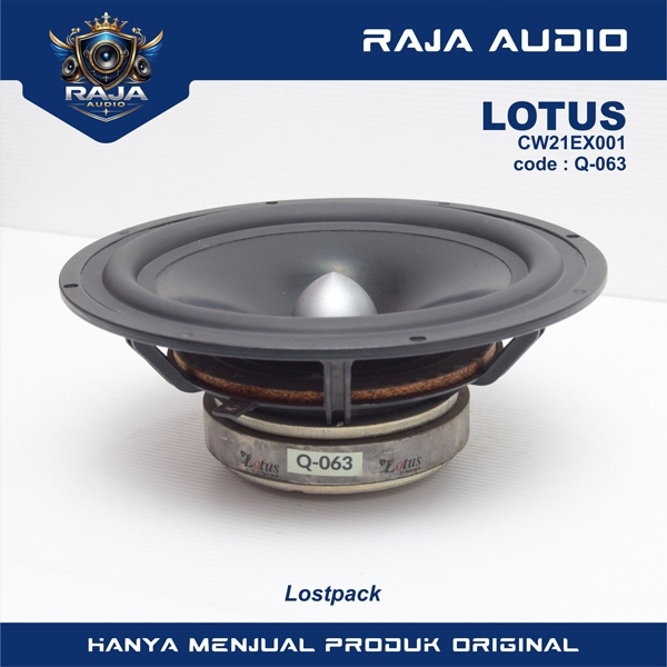 Seas Lotus Reference CW21EX001 Woofer 8 Inch – Midbass Car Audio High End