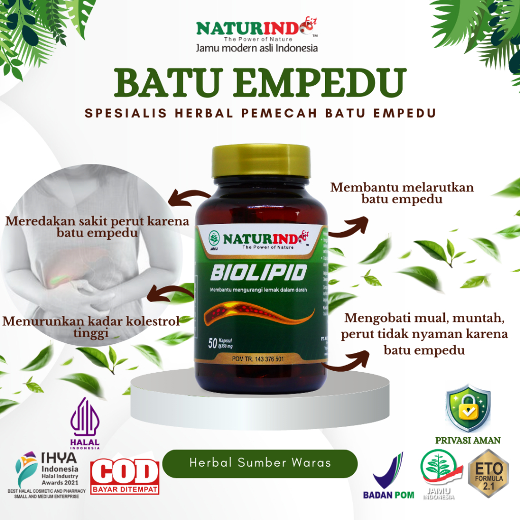 Obat Herbal Penghancur Batu Empedu  Pelarut Batu Empedu Biolipid Naturindo