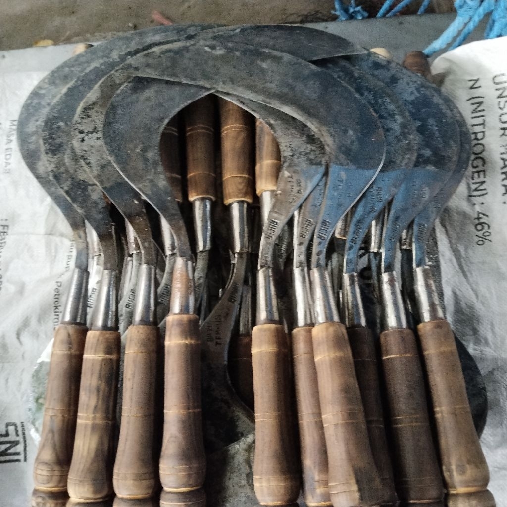 arit rumput cap baja tembus alicia arit pengaritan rumput baja tembus alicia