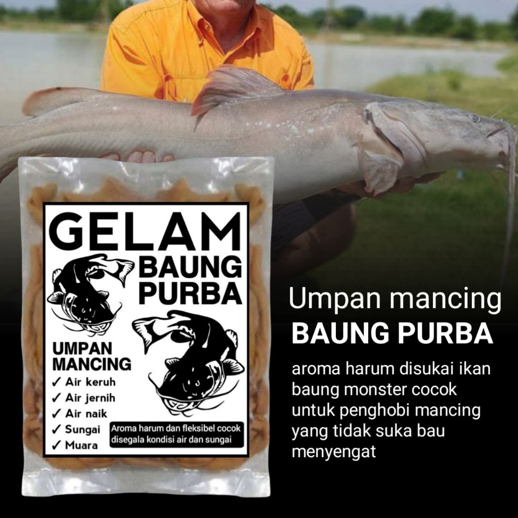 Umpan ikan baung sungai