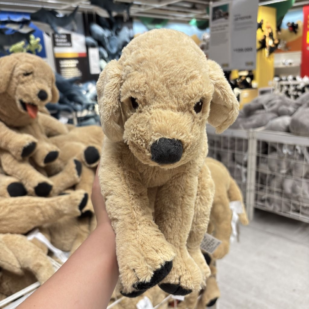 IKEA Boneka Anjing Golden Retriever