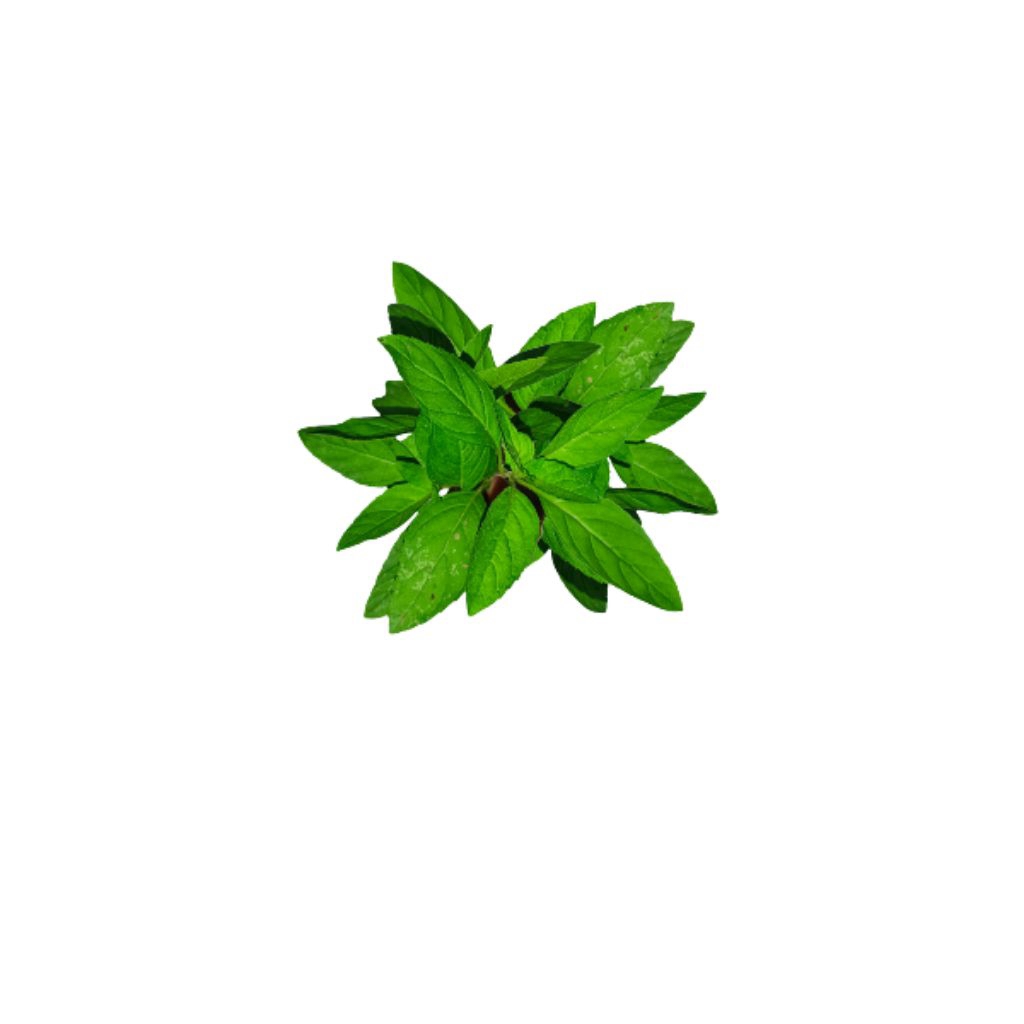 DaunMint-PeppeeMint-DaunMintFresh-TehHerbal