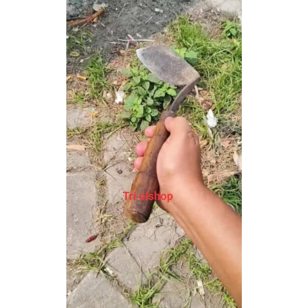 Wangkil Koret Rumput