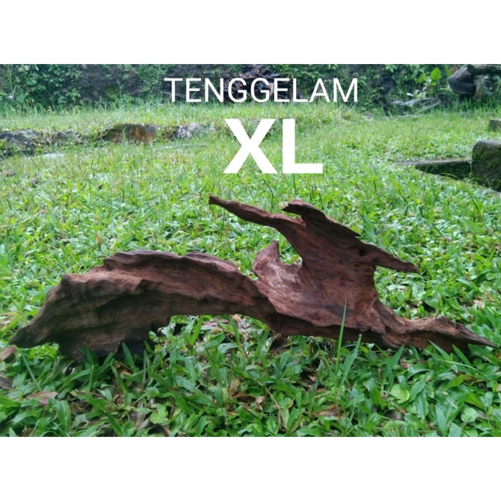 kayu rentek tenggelam XL