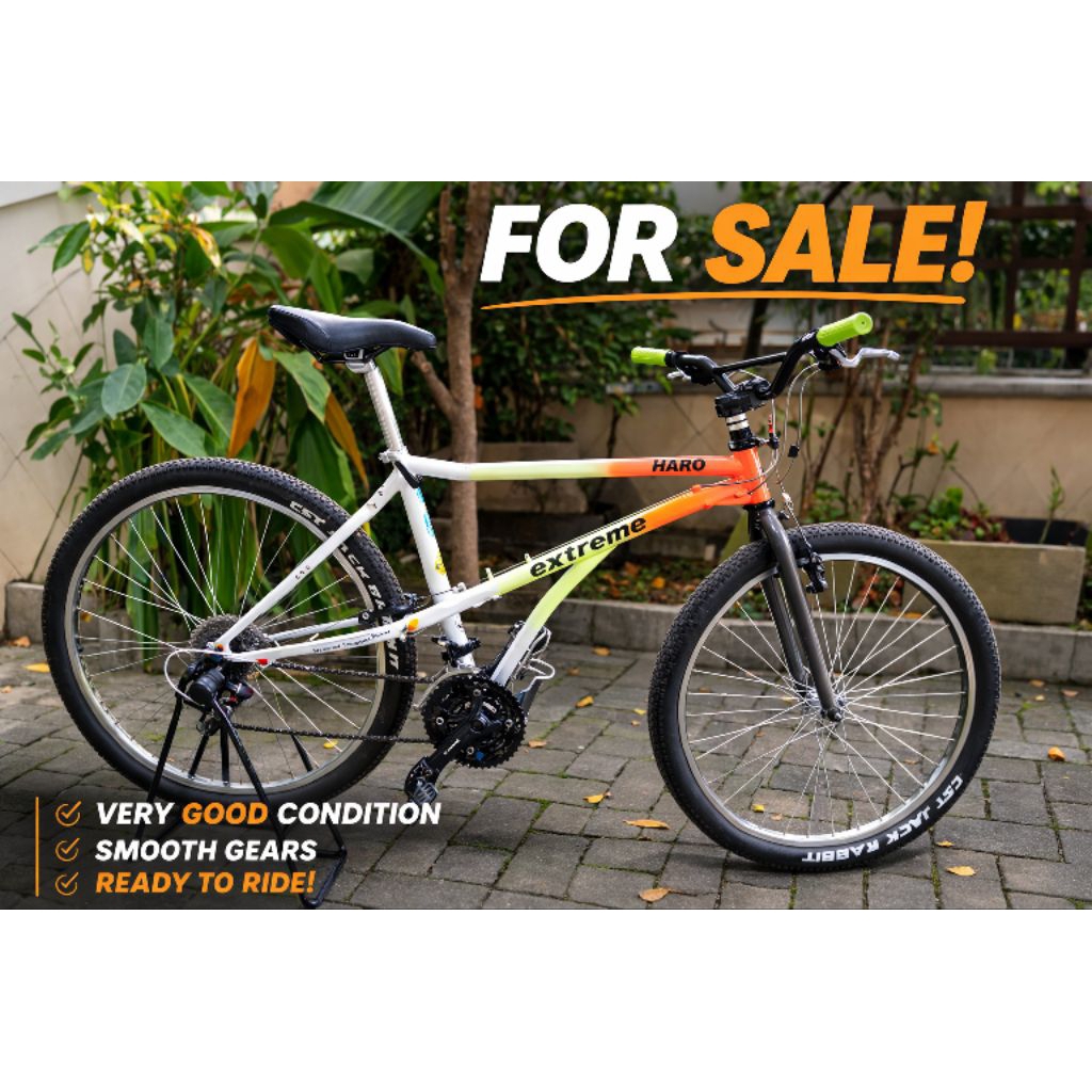 Sepeda Haro Extreme USA Vintage