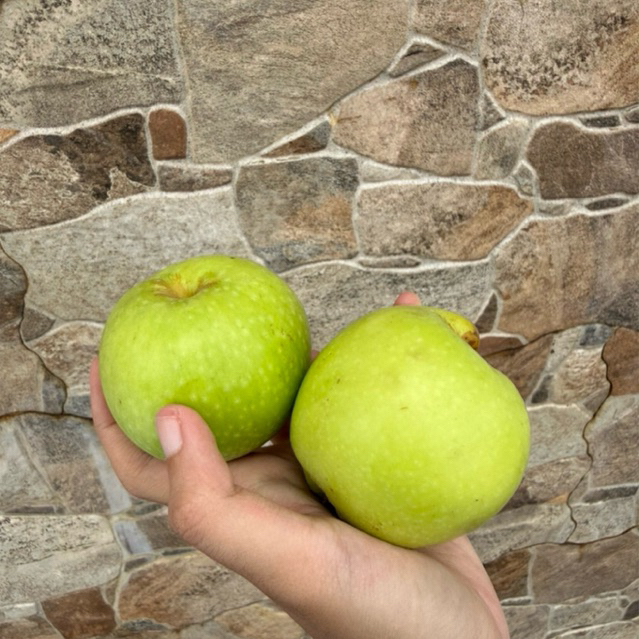 APEL MANALAGI UKURAN BESAR MALANG 1KG ISI 7-10