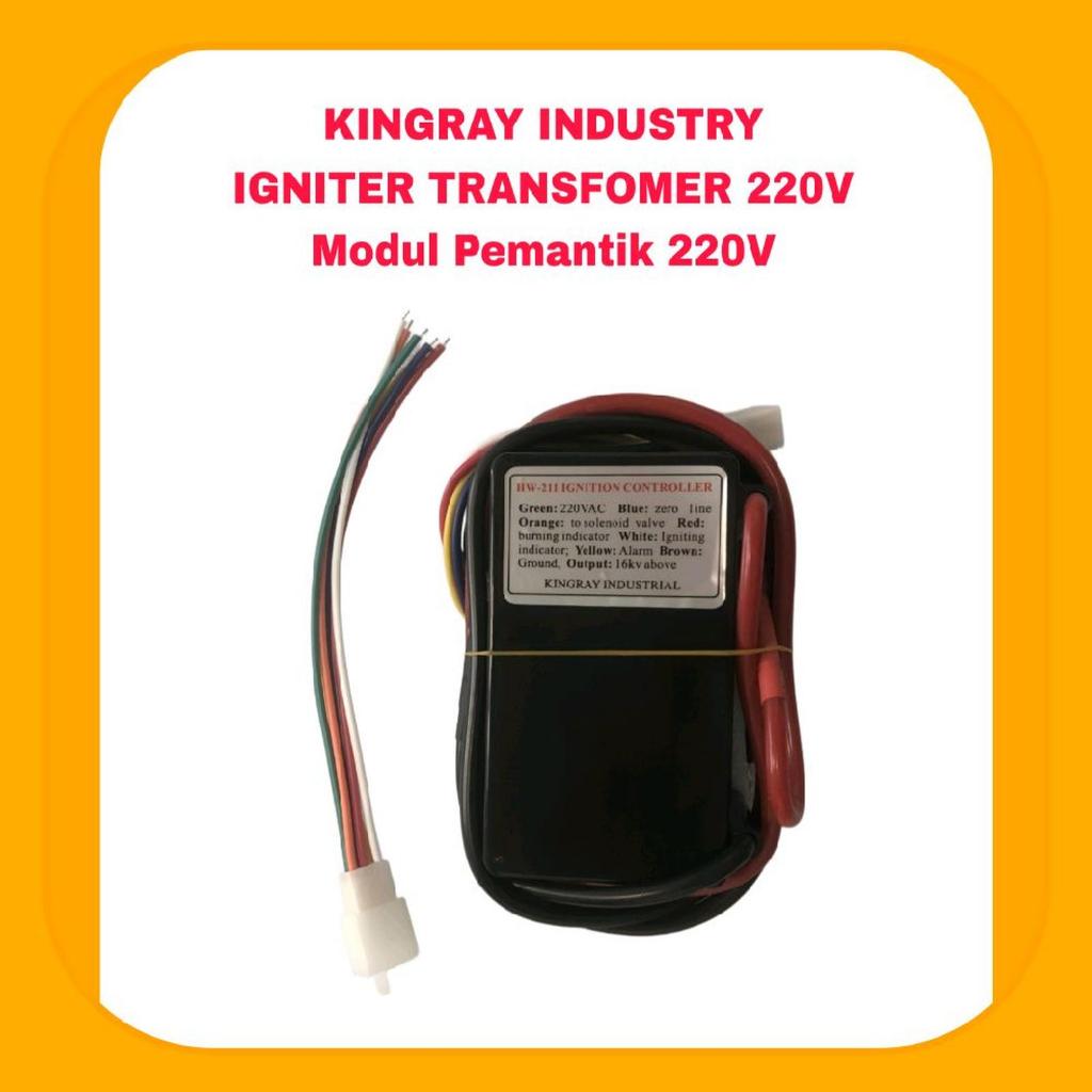 Igniter Controller 220V Modul Pemantik 220V