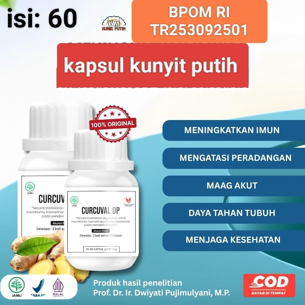 Kapsul Kunyit Putih Prof Dwiyati BPOM Isi 60 - Curcuval DP Kunir Asli Murni Untuk Kanker Meningkat I