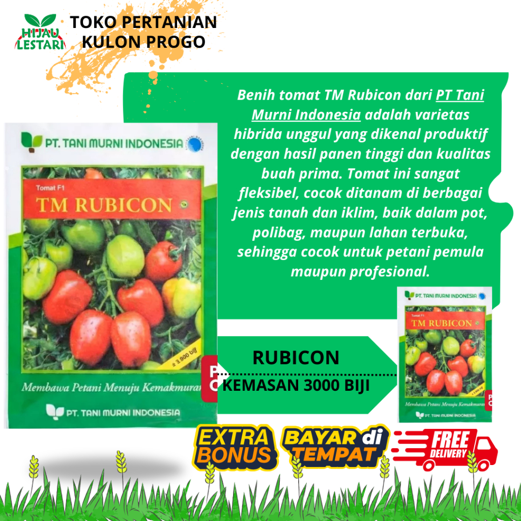 Benih Tomat TM RUBICON Bulat Tahan Penyakit ORIGINAL KEMASAN PT TANI MURNI TM BLAZER 3000