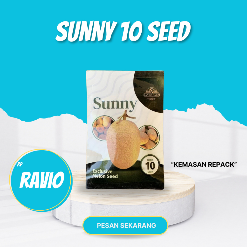 BENIH MELON SUNNY 10 SEED RAVIO SEED
