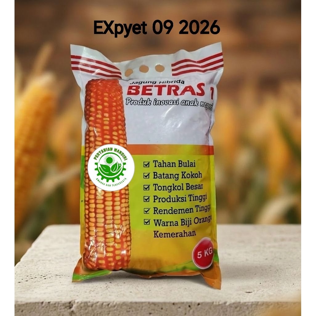 Benih jagung hibrida Betras 1 5kg