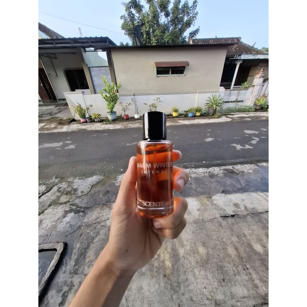 Warm winter intense  pl original