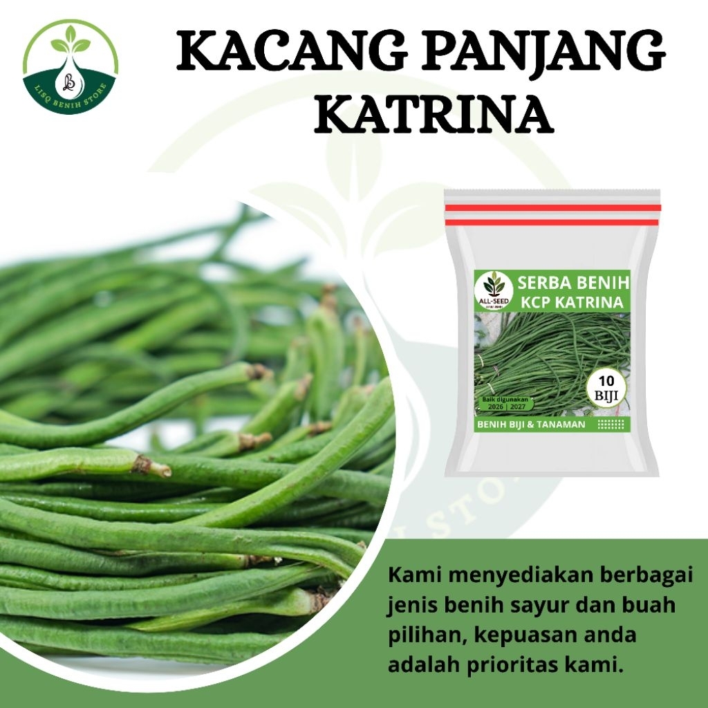 { 10 BIJI } Benih kacang panjang katrina / bibit kacang panjang / biji hitam putih / katrina