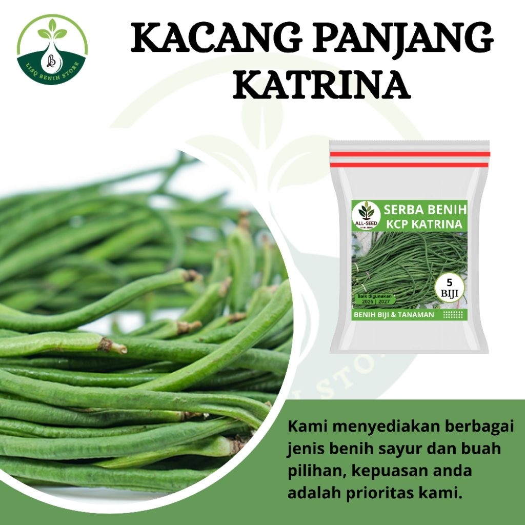 { 5 BIJI } Benih kacang panjang katrina / bibit kacang panjang / biji hitam putih / katrina