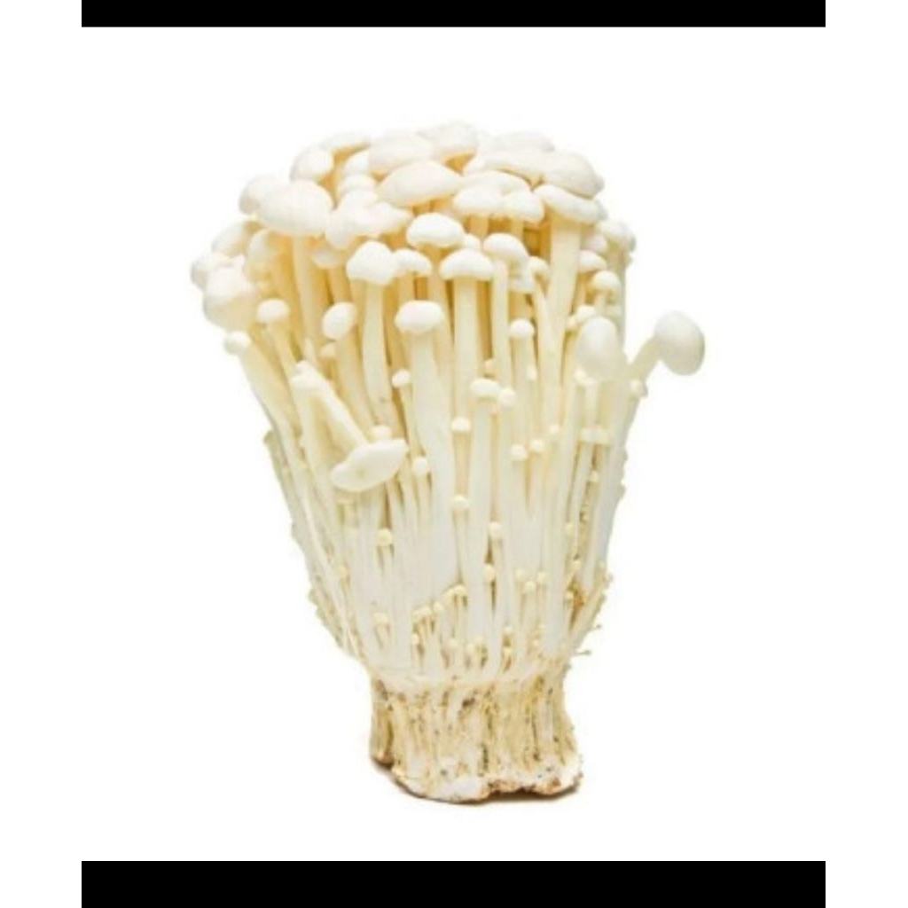 jamur enoki 100gr KHUSUS INSTAN MEDAN